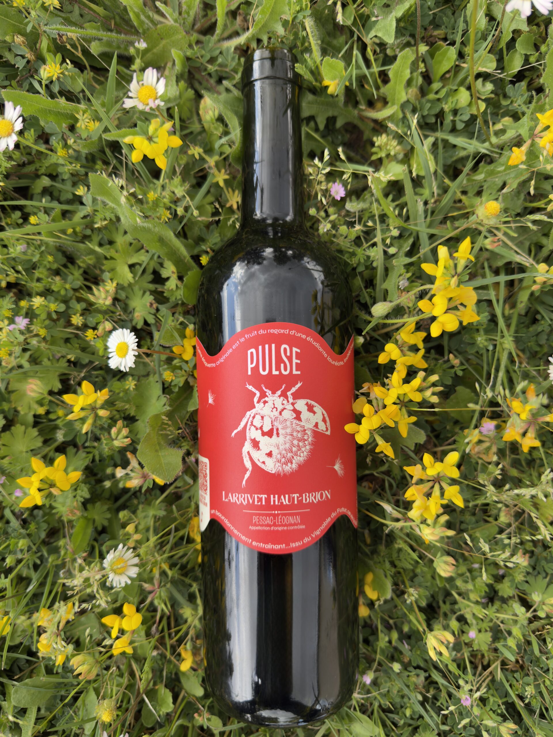 Pulse – Image 5