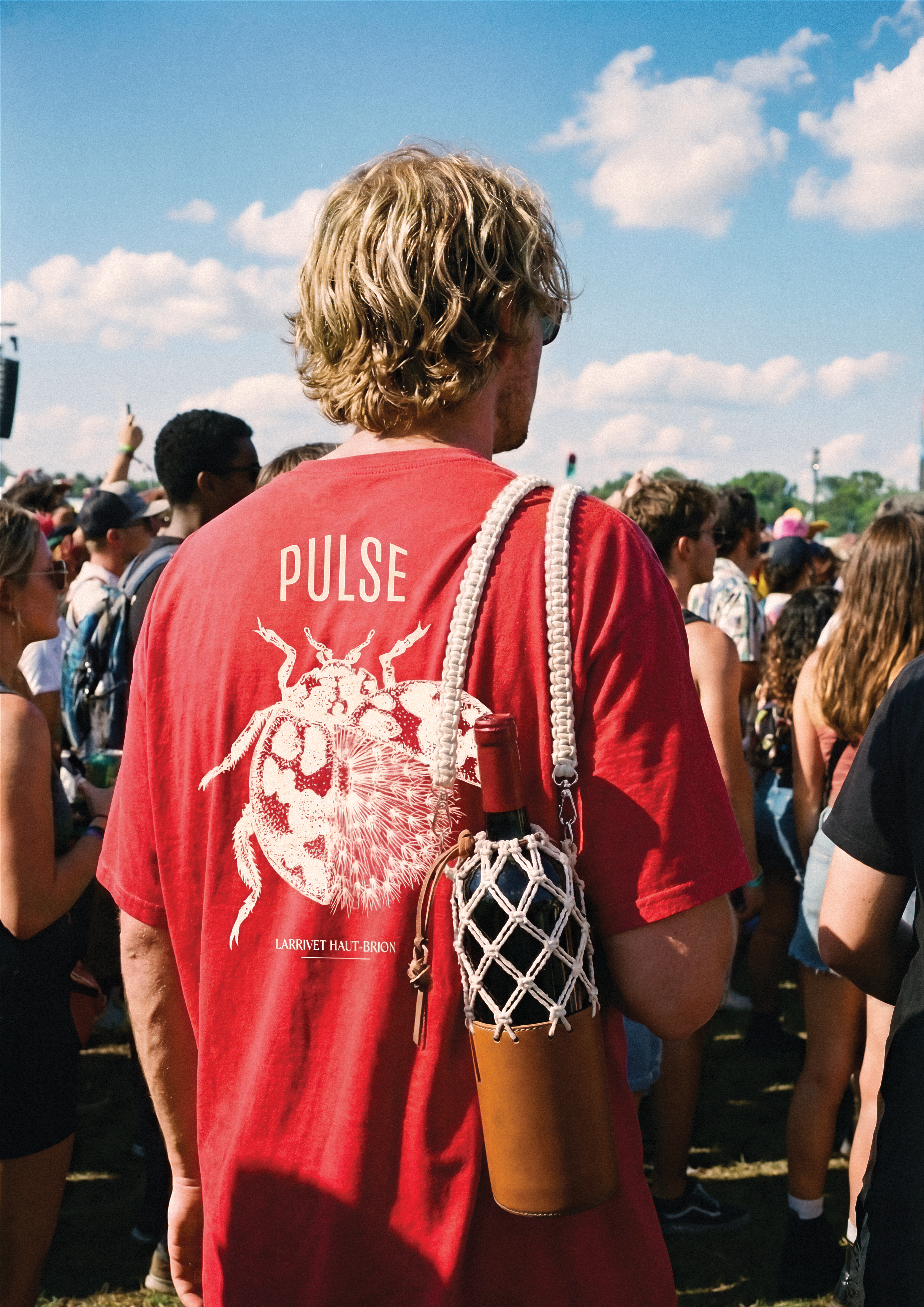 Pulse – Image 3