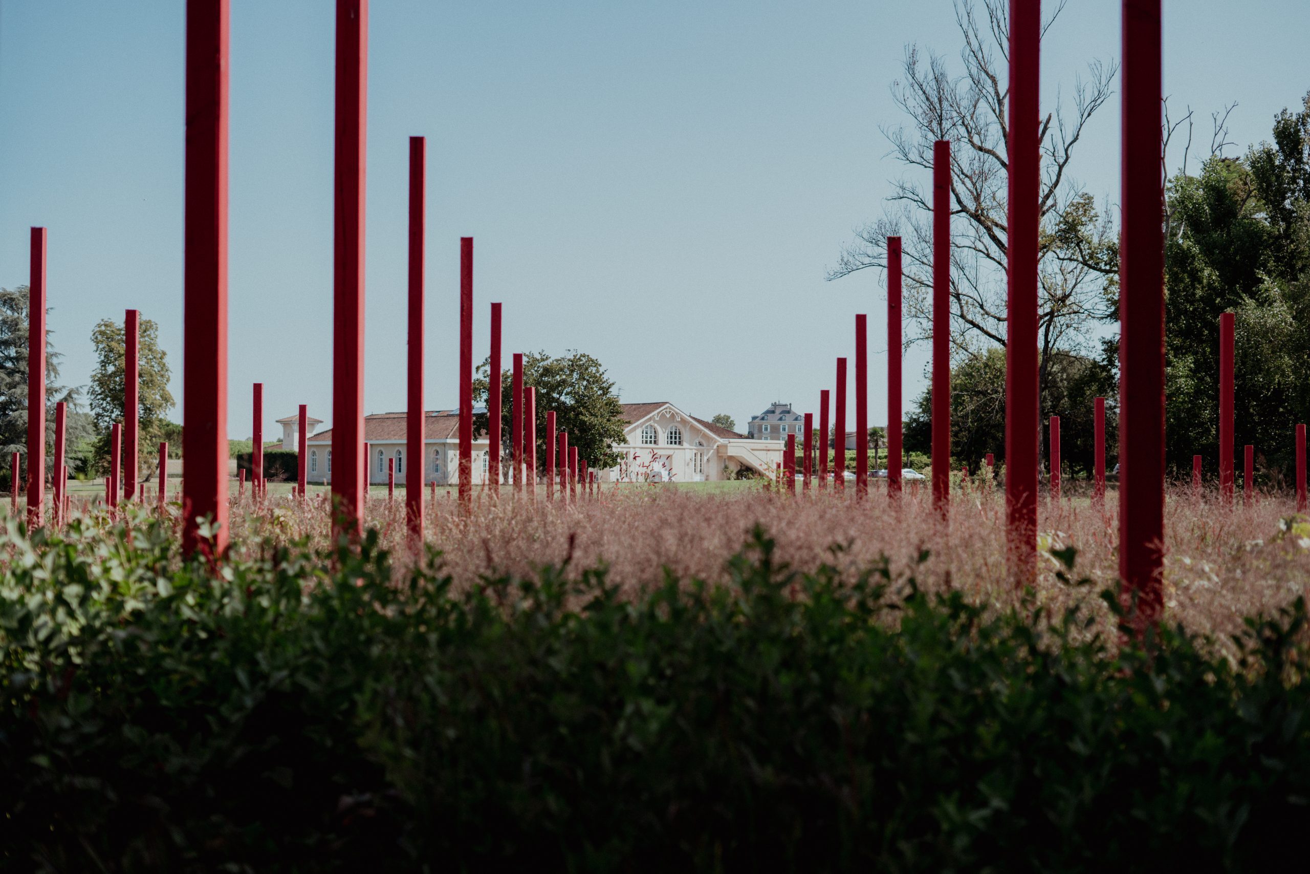 Jardin millésimé face
au chai de vinification